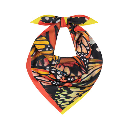 Papillon Wing Scarf